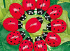 Spel - rekenspel - Yellow Door Ladybug Counting Stones - telstenen - lieveheersbeestjes - per spel