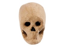 Figuren - papier-maché - schedel - per stuk