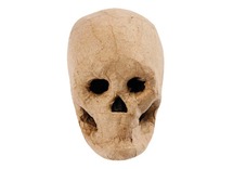Boetseren - papier-maché - schedel skelet - per stuk