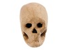 Figuren - papier-maché - schedel skelet - per stuk