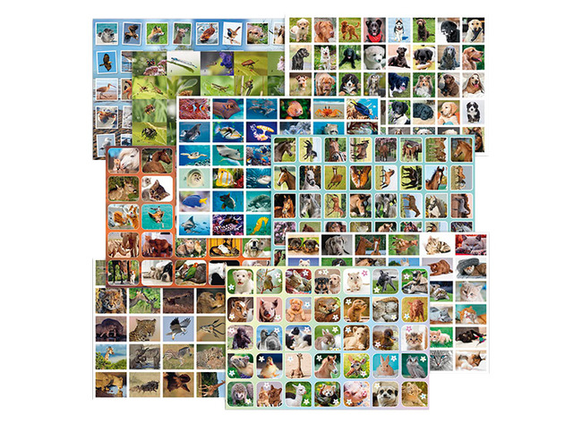 Stickers - dieren - 360 motieven - set van 720