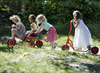 Autopeds - Winther Viking - grote autoped - per stuk