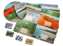 Spel - Dieren En Hun Omgeving