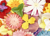 Decoratie - bloemen - textiel - set van 500 assorti