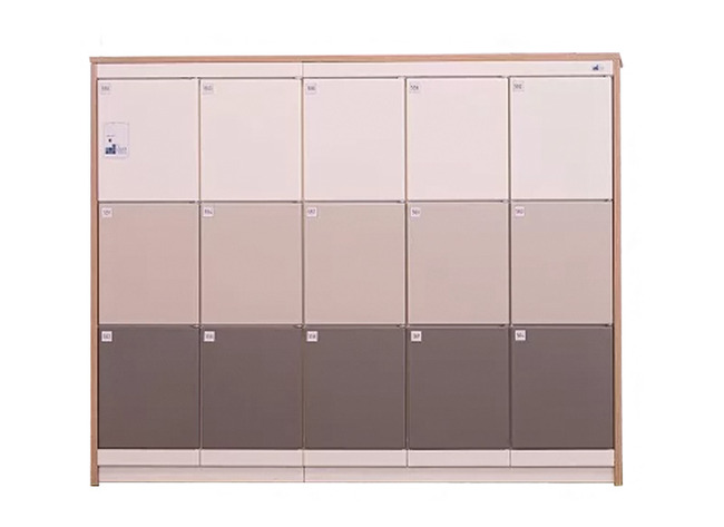 LOCKER - BRICKS - METAAL - DIVERSE SLUITSYSTEMEN