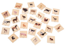 Puzzel - evolutiepuzzel - Commotion - huisdieren - per stuk