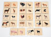 Puzzel - evolutiepuzzel - tickit Domestic Animal Family Match - huisdieren - 7 cm - hout - vierkant - per stuk