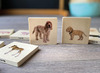 Puzzel - evolutiepuzzel - tickit Domestic Animal Family Match - huisdieren - 7 cm - hout - vierkant - per stuk
