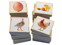 Puzzel - tickit Wooden Lifecycle Tiles - levenscyclus - 7 cm - hout - evolutiepuzzel - vierkant - per stuk