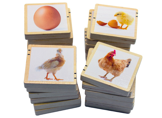 Puzzel - tickit Wooden Lifecycle Tiles - levenscyclus - 7 cm - hout - evolutiepuzzel - vierkant - per stuk