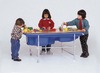 Tafel - zand- en watertafel - afdekblad groot - voor BC1058 - 132 x 81 cm - per stuk